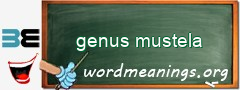 WordMeaning blackboard for genus mustela